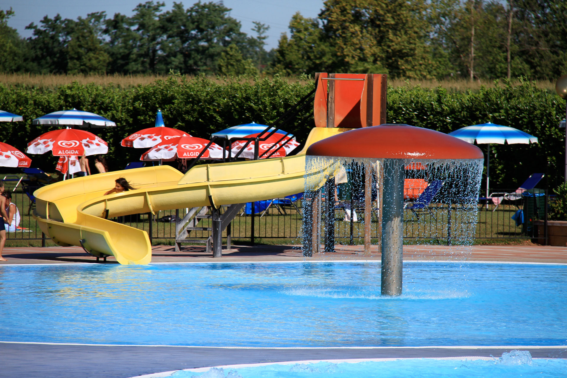 IMG_2206